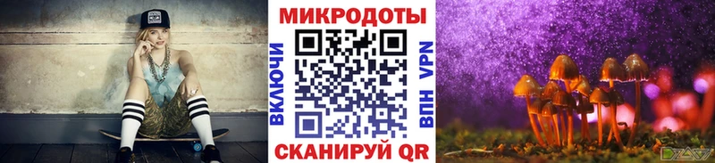 закладка Суджа Псилоцибиновые грибы прущие грибы